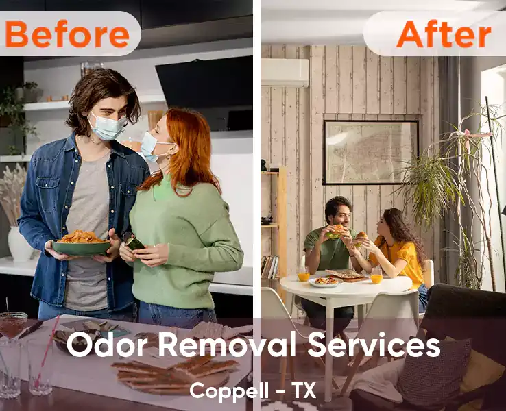  Odor Removal Services Coppell - TX