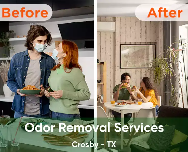  Odor Removal Services Crosby - TX