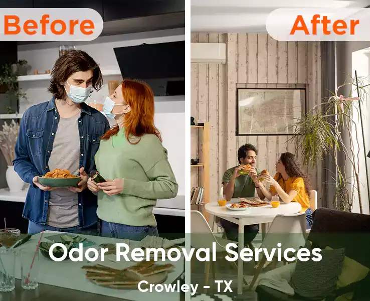  Odor Removal Services Crowley - TX