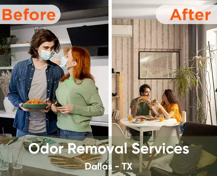  Odor Removal Services Dallas - TX