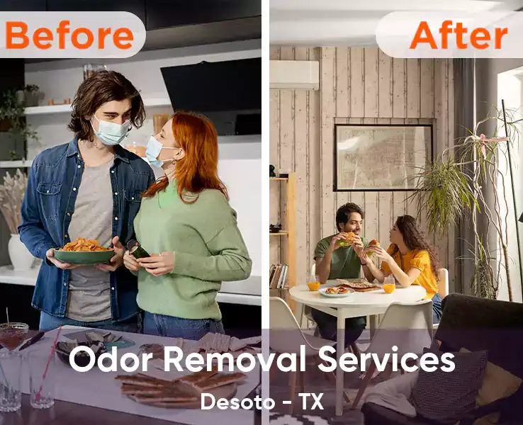 Odor Removal Services Desoto - TX