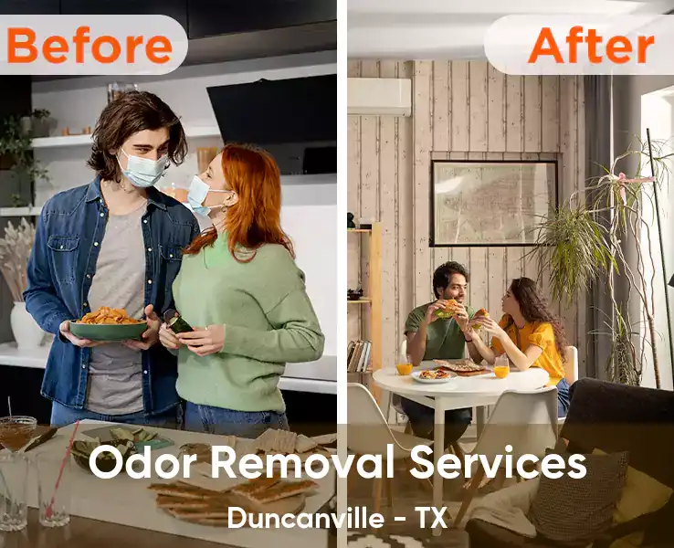  Odor Removal Services Duncanville - TX