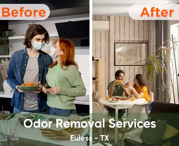  Odor Removal Services Euless - TX
