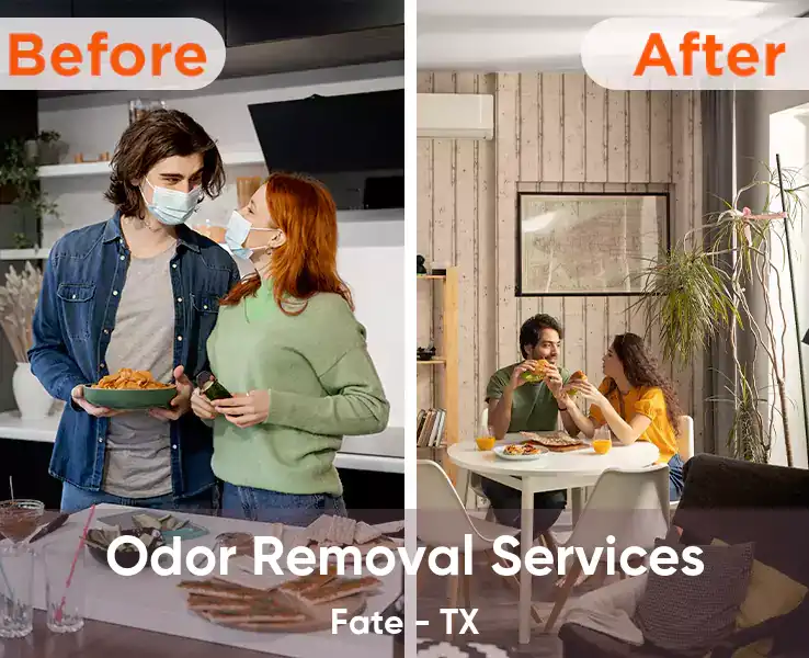  Odor Removal Services Fate - TX