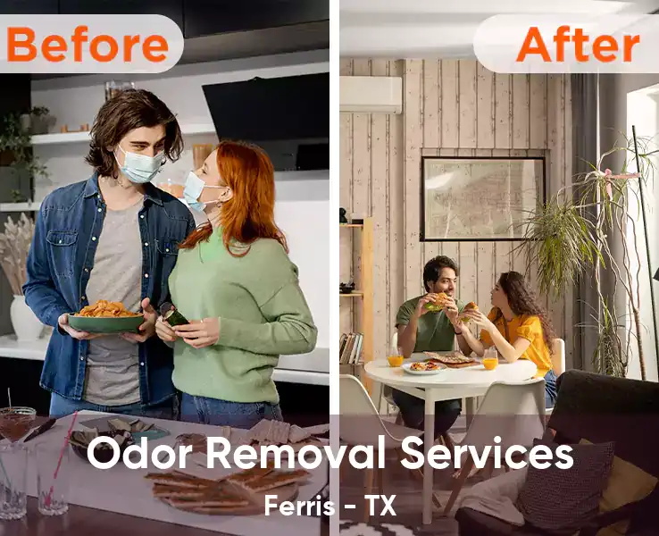  Odor Removal Services Ferris - TX