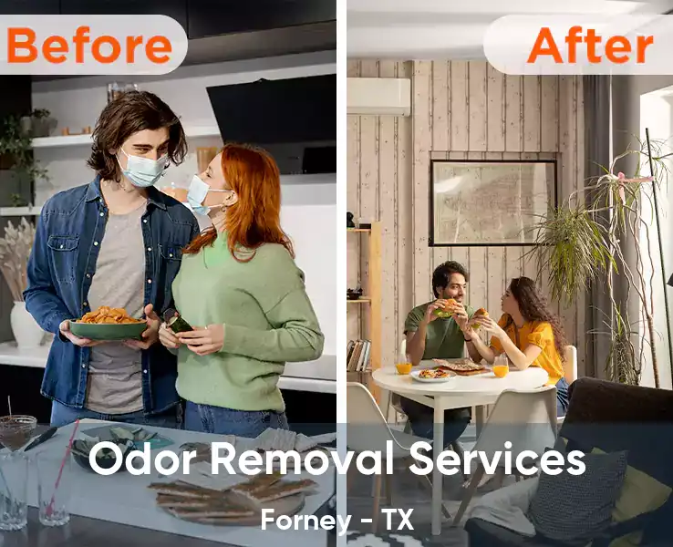  Odor Removal Services Forney - TX