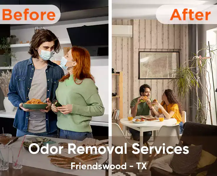  Odor Removal Services Friendswood - TX