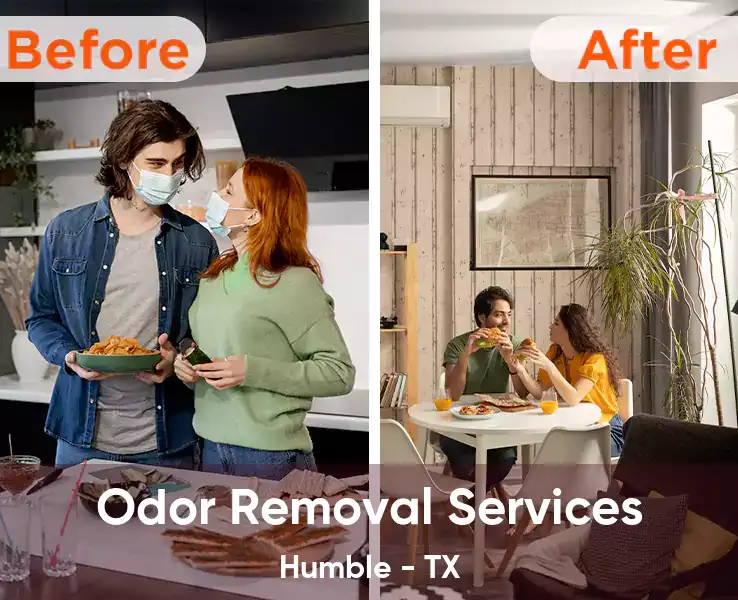 Odor Removal Services Humble - TX