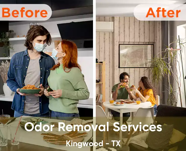  Odor Removal Services Kingwood - TX