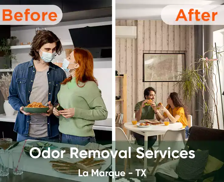  Odor Removal Services La Marque - TX