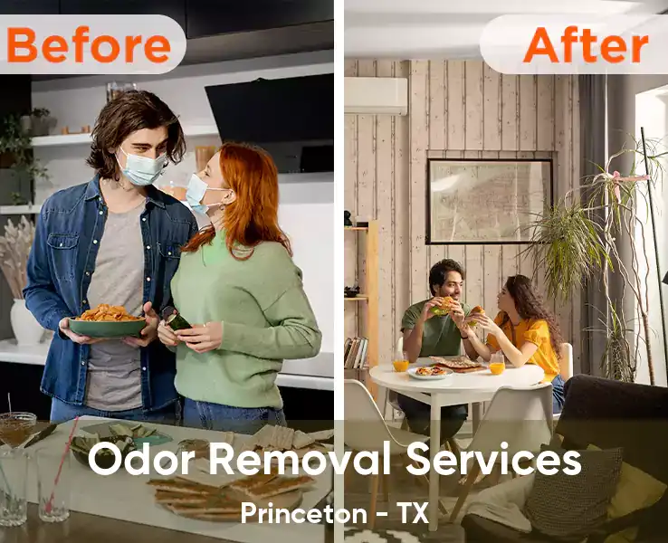  Odor Removal Services Princeton - TX