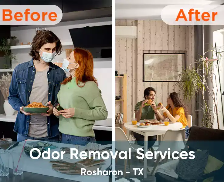  Odor Removal Services Rosharon - TX