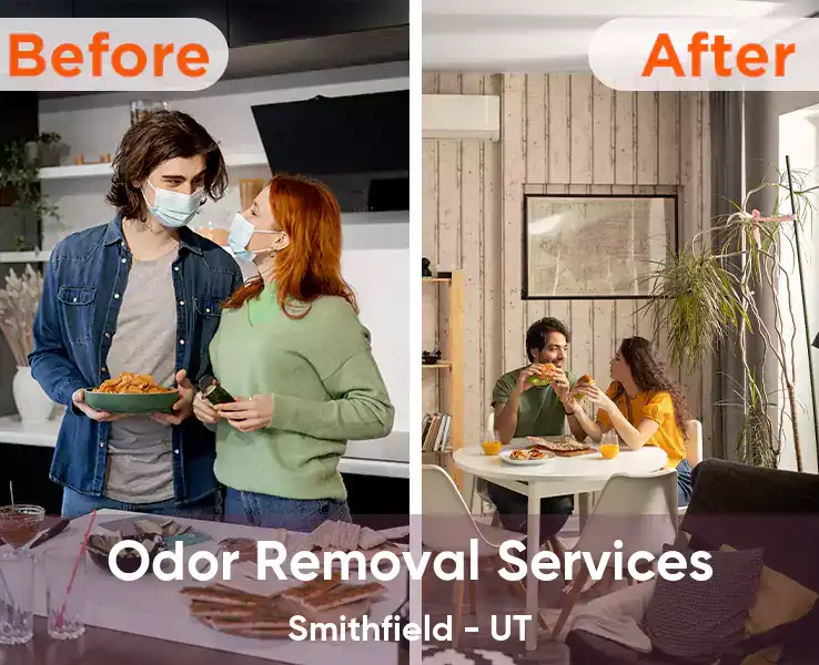  Odor Removal Services Smithfield - UT