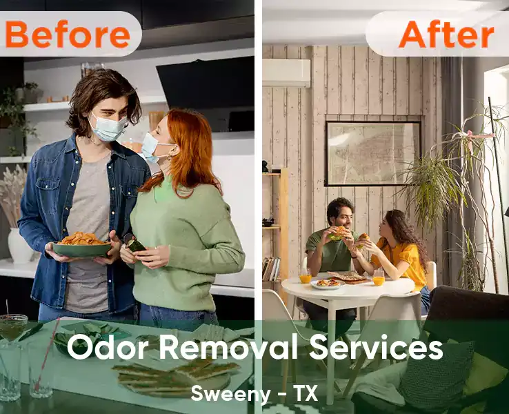  Odor Removal Services Sweeny - TX