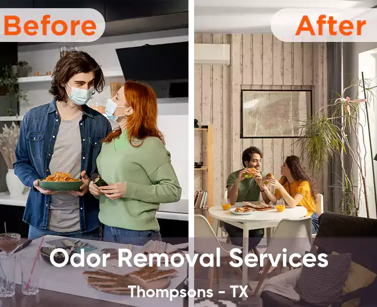  Odor Removal Services Thompsons - TX