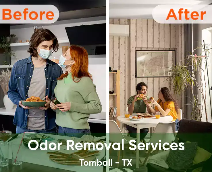  Odor Removal Services Tomball - TX