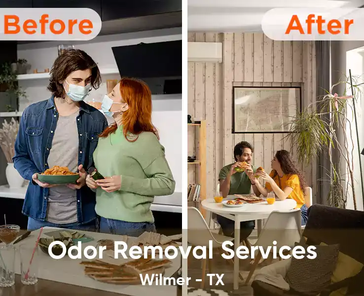  Odor Removal Services Wilmer - TX