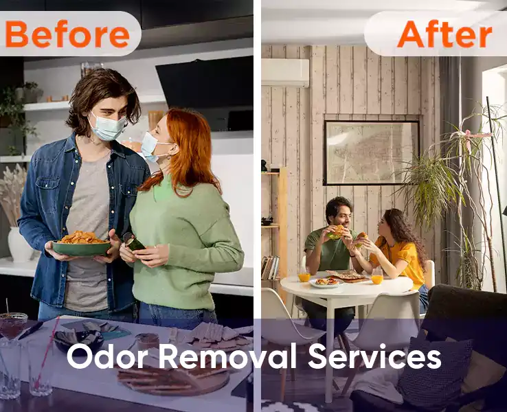  Odor Removal Services 