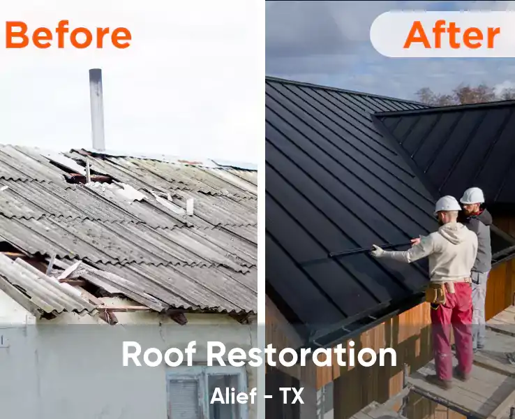  Roof Restoration Alief - TX