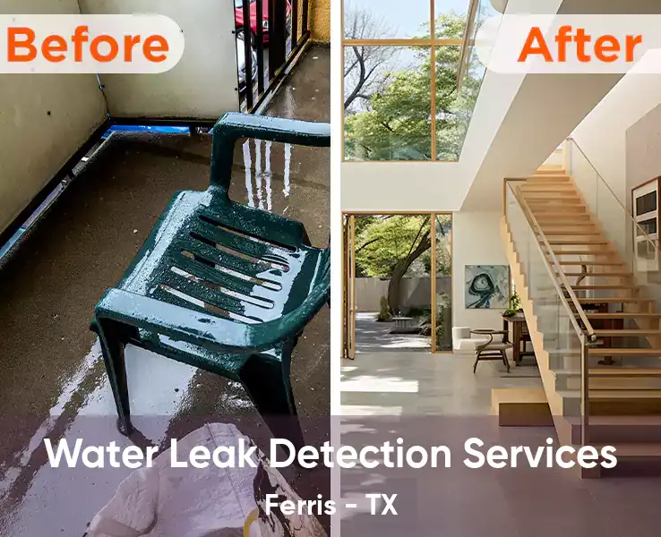  Water Leak Detection Services Ferris - TX