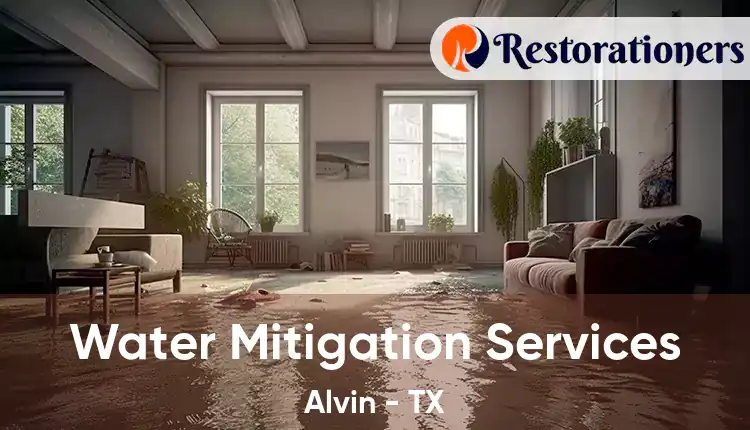  Water Mitigation Services Alvin - TX