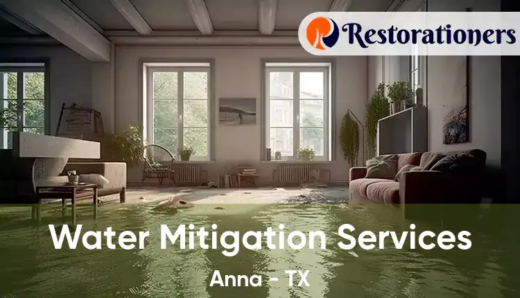  Water Mitigation Services Anna - TX