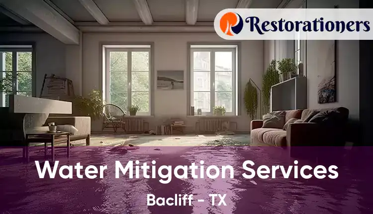  Water Mitigation Services Bacliff - TX