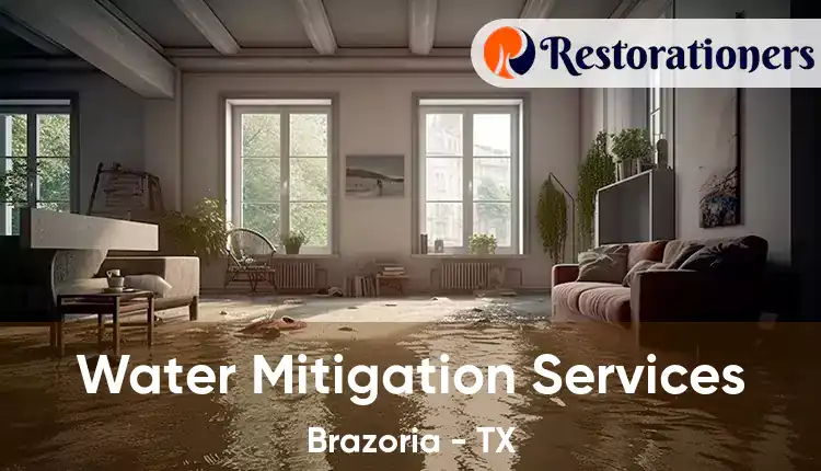  Water Mitigation Services Brazoria - TX