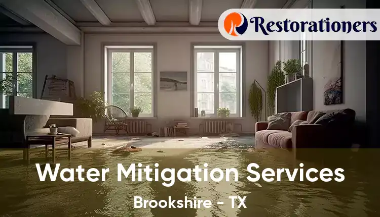  Water Mitigation Services Brookshire - TX