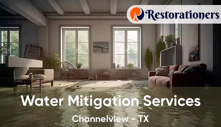  Water Mitigation Services Channelview - TX