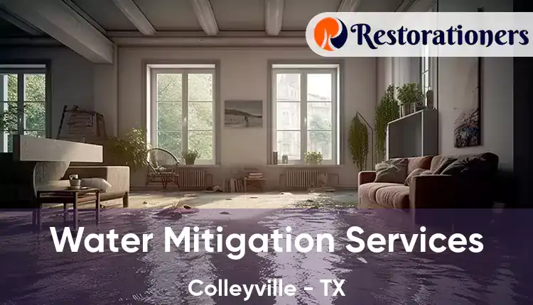  Water Mitigation Services Colleyville - TX