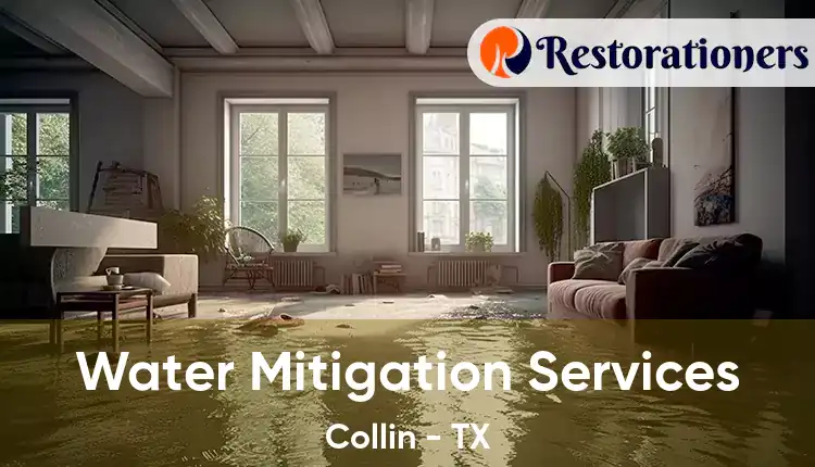  Water Mitigation Services Collin - TX
