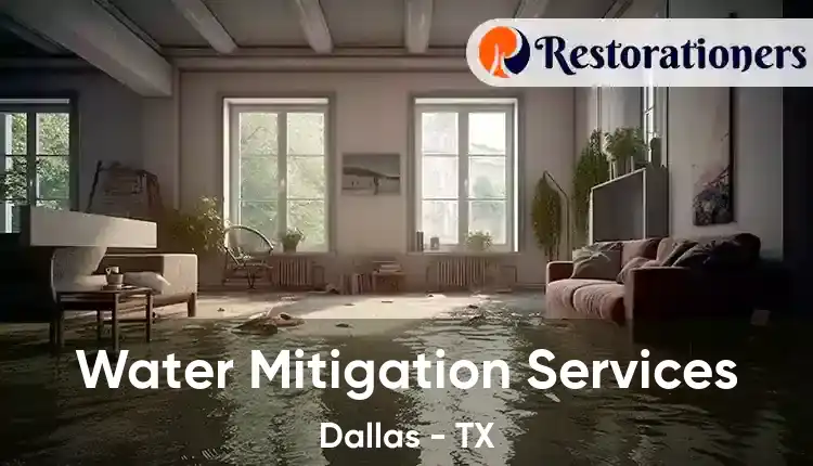  Water Mitigation Services Dallas - TX