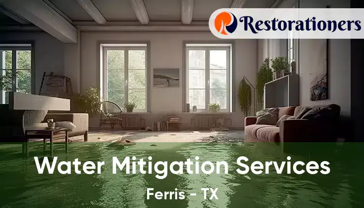  Water Mitigation Services Ferris - TX