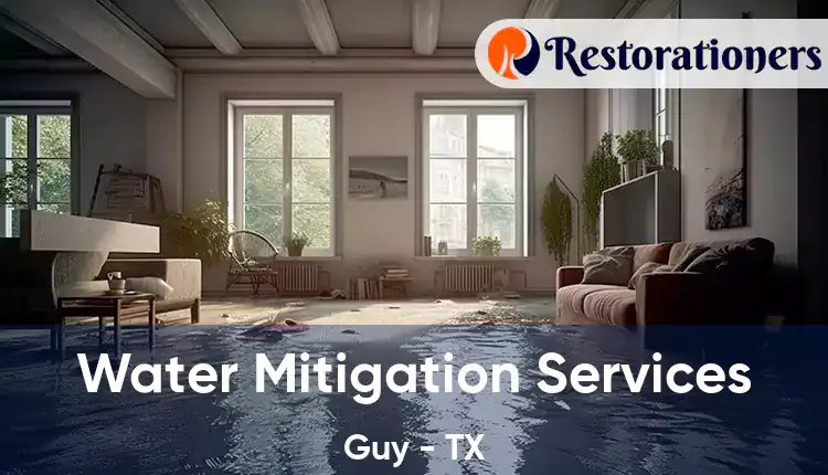  Water Mitigation Services Guy - TX