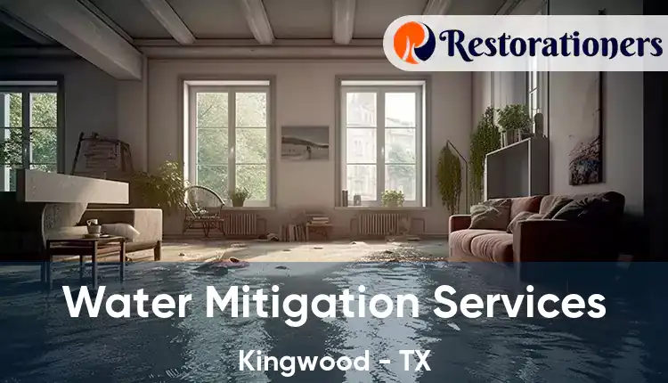  Water Mitigation Services Kingwood - TX