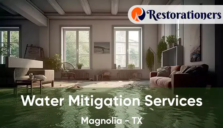 Water Mitigation Services Magnolia - TX