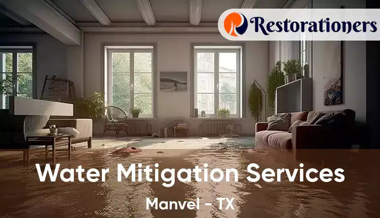  Water Mitigation Services Manvel - TX