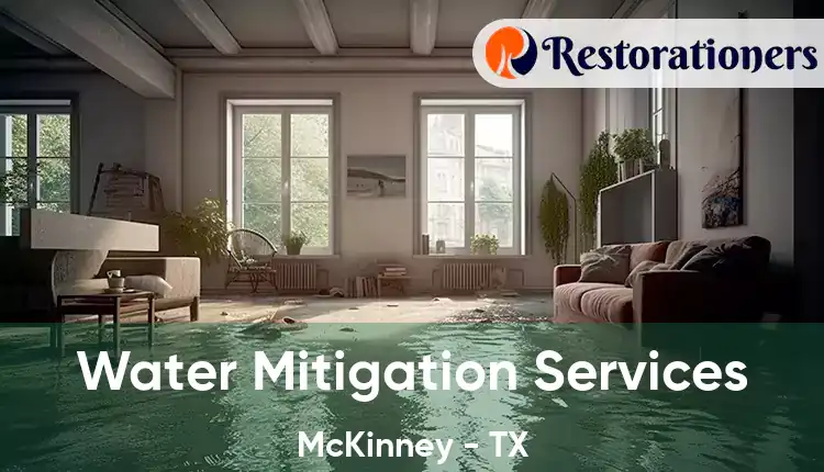  Water Mitigation Services McKinney - TX
