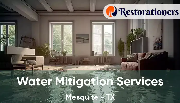  Water Mitigation Services Mesquite - TX