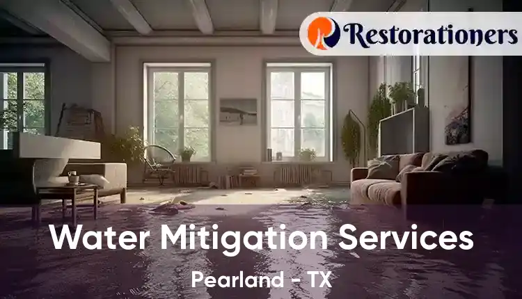  Water Mitigation Services Pearland - TX