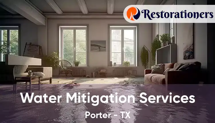  Water Mitigation Services Porter - TX