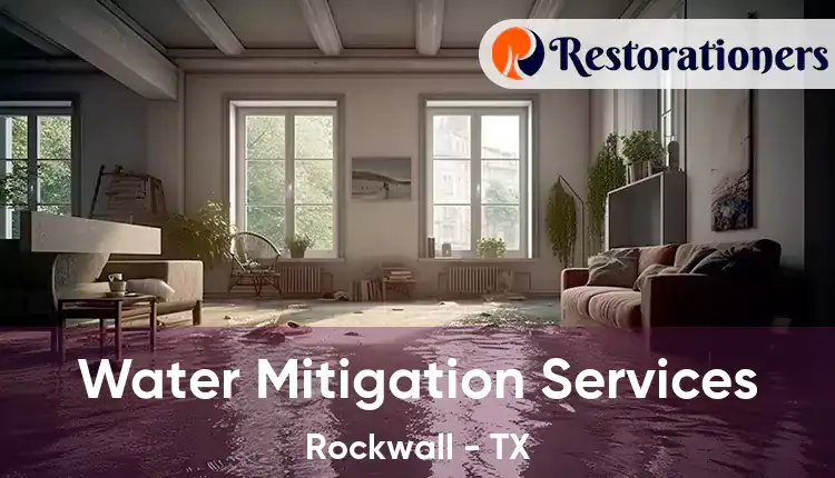  Water Mitigation Services Rockwall - TX