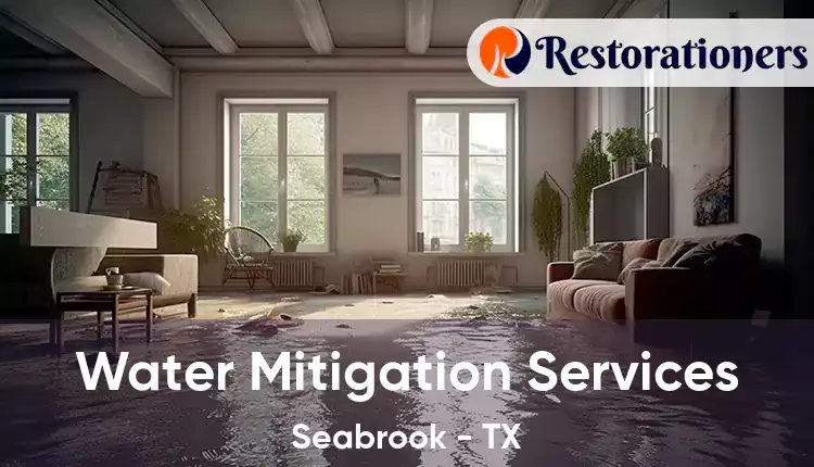  Water Mitigation Services Seabrook - TX