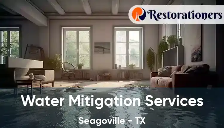  Water Mitigation Services Seagoville - TX
