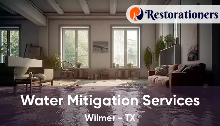  Water Mitigation Services Wilmer - TX