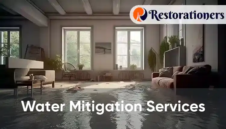  Water Mitigation Services 