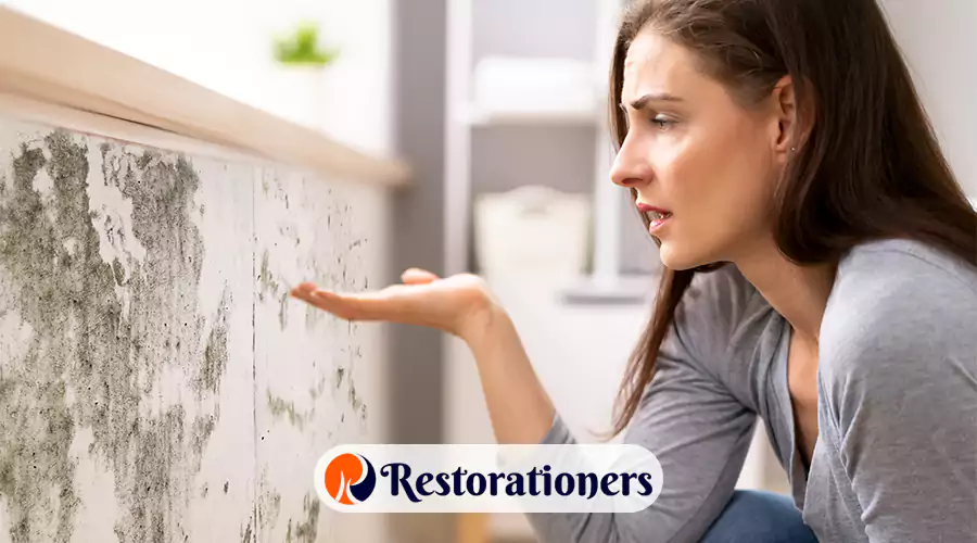How to Handle Mold Safely