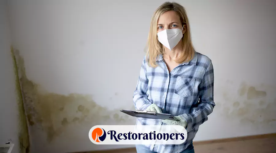 Mold Remediation Cost Per Square Foot: A Complete Pricing Guide