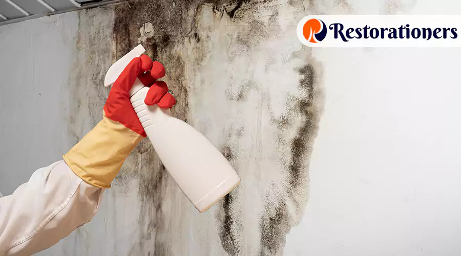 Special Considerations For Basements